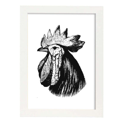Lámina de Gallo. Posters con animales en blanco y negro.-Artwork-Nacnic-A4-Marco Blanco-Nacnic Estudio SL