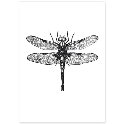 Lámina de Libelula. Posters con animales en blanco y negro.-Artwork-Nacnic-A4-Sin marco-Nacnic Estudio SL