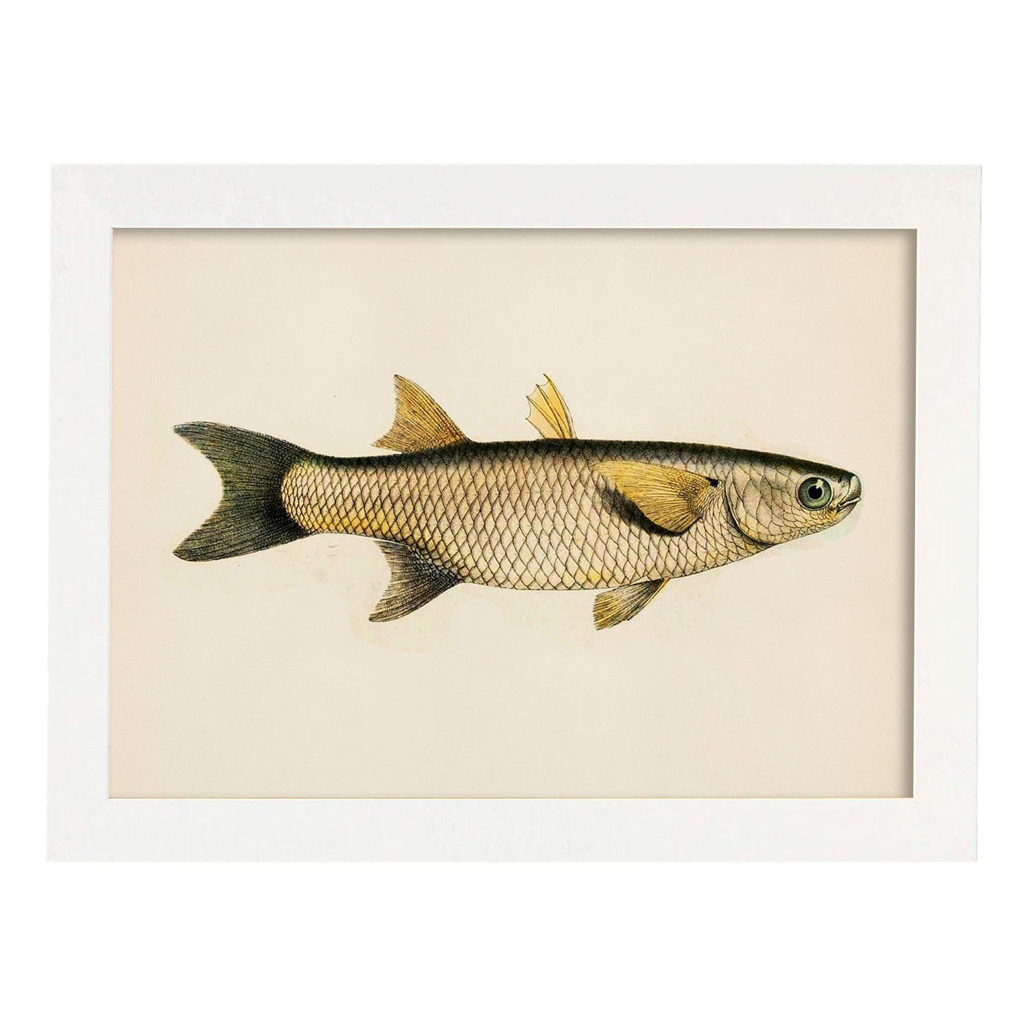 Lámina de pez amarillo, gris en , fondo papel vintage.-Artwork-Nacnic-A3-Marco Blanco-Nacnic Estudio SL