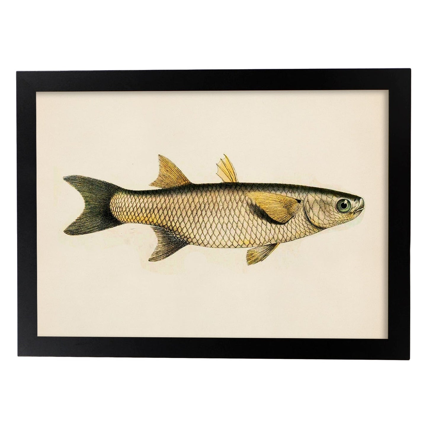 Lámina de pez amarillo, gris en , fondo papel vintage.-Artwork-Nacnic-A3-Marco Negro-Nacnic Estudio SL