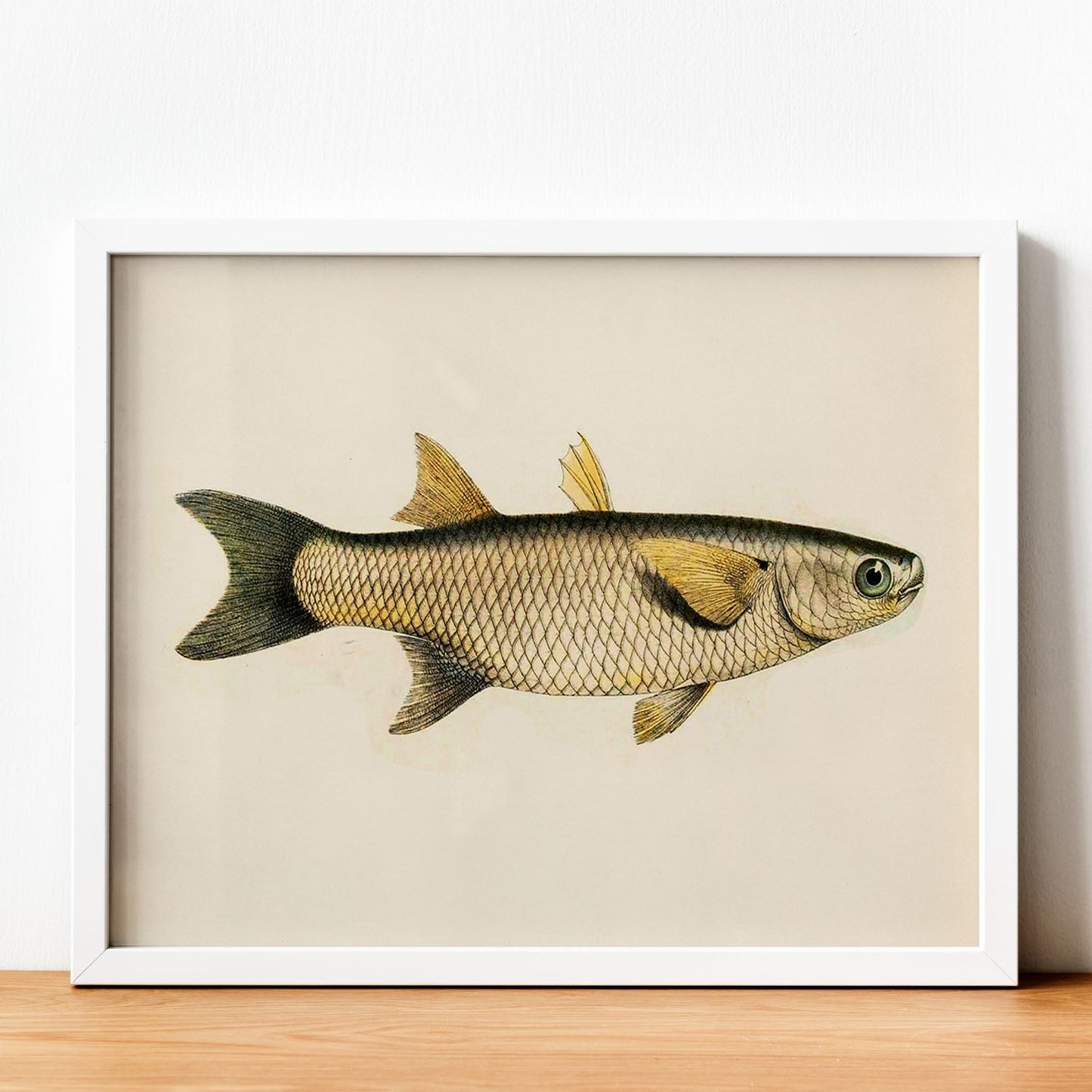 Lámina de pez amarillo, gris en , fondo papel vintage.-Artwork-Nacnic-Nacnic Estudio SL