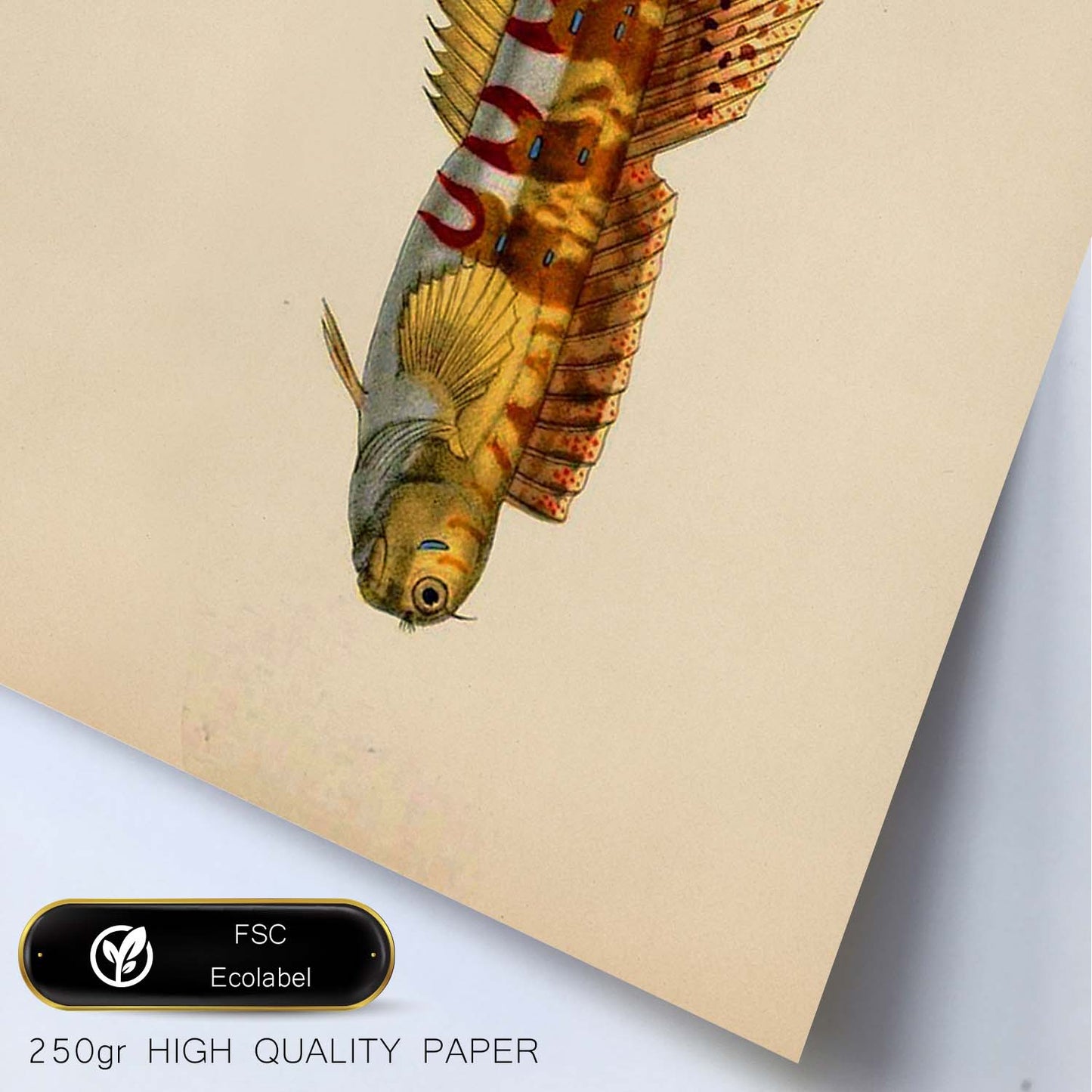 Lámina de pez amarillo, marron alargado en , fondo papel vintage.-Artwork-Nacnic-Nacnic Estudio SL