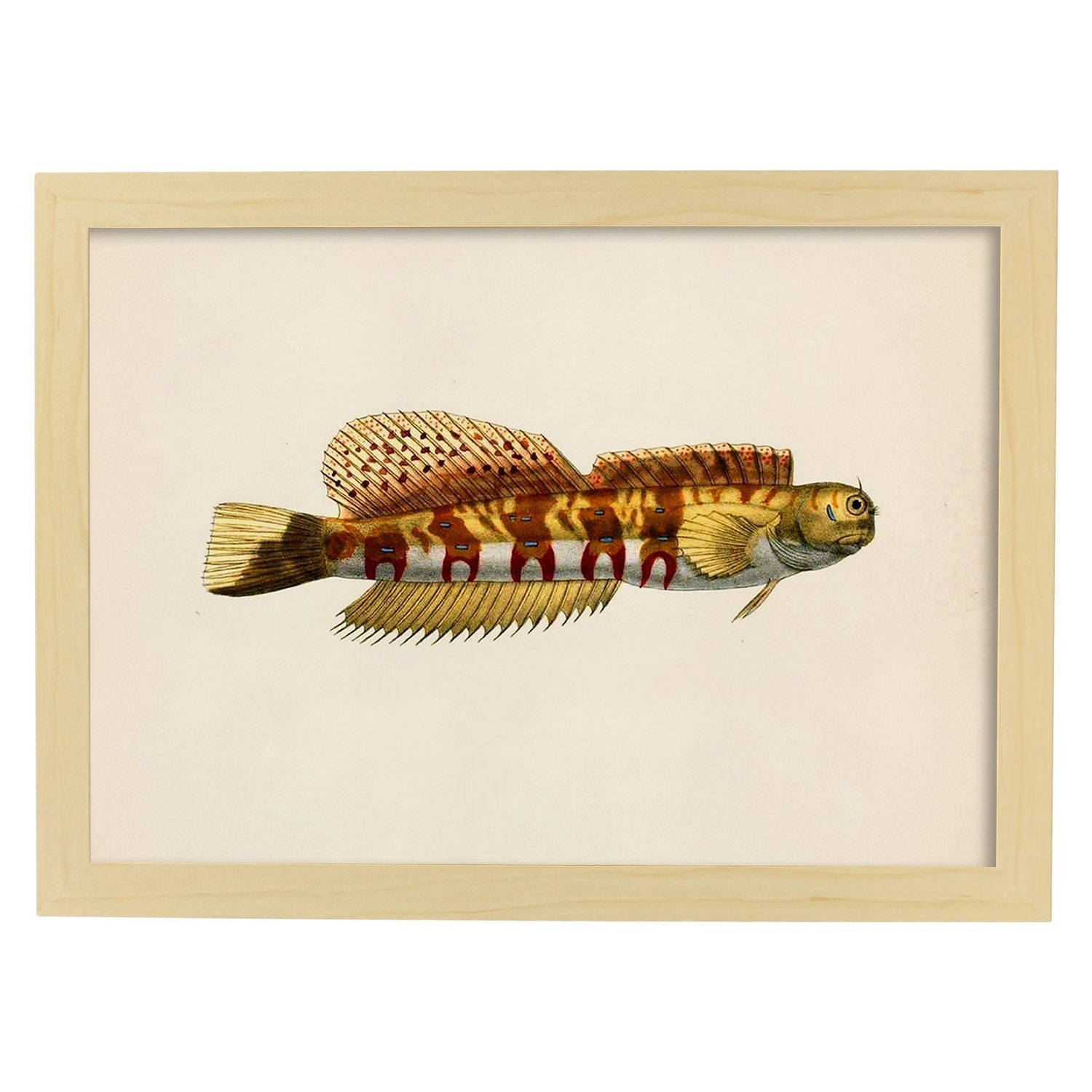 Lámina de pez amarillo, marron alargado en , fondo papel vintage.-Artwork-Nacnic-A3-Marco Madera clara-Nacnic Estudio SL