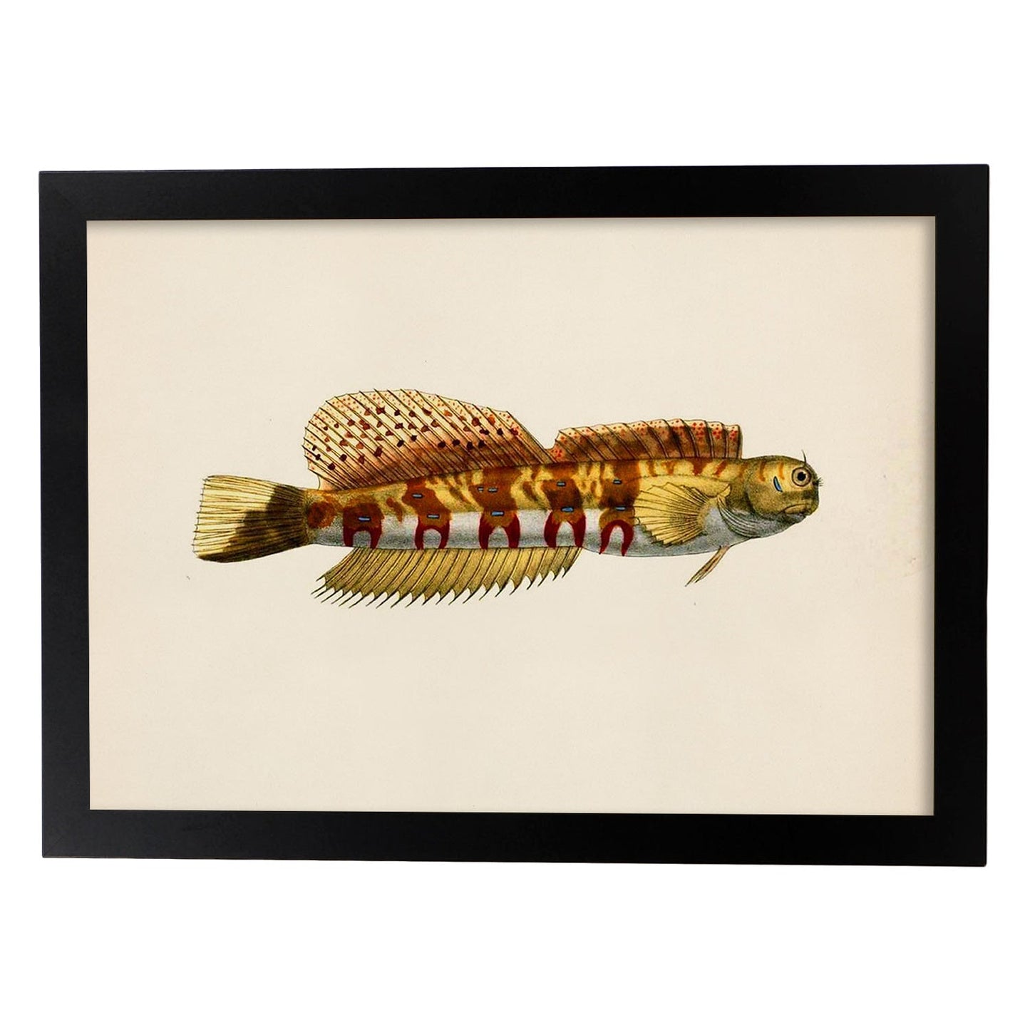 Lámina de pez amarillo, marron alargado en , fondo papel vintage.-Artwork-Nacnic-A3-Marco Negro-Nacnic Estudio SL