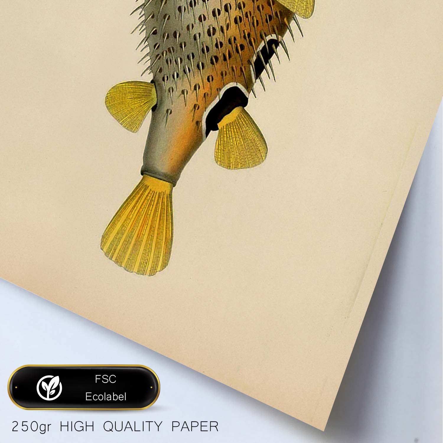 Lámina de pez amarillo, negro y blanco en , fondo papel vintage.-Artwork-Nacnic-Nacnic Estudio SL