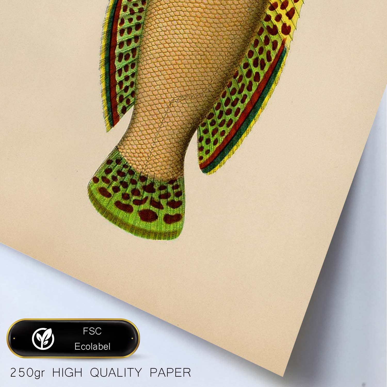 Lámina de pez amarillo, verde y beige en , fondo papel vintage.-Artwork-Nacnic-Nacnic Estudio SL