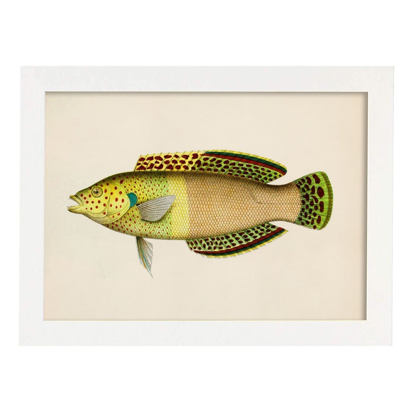 Lámina de pez amarillo, verde y beige en , fondo papel vintage.-Artwork-Nacnic-A3-Marco Blanco-Nacnic Estudio SL