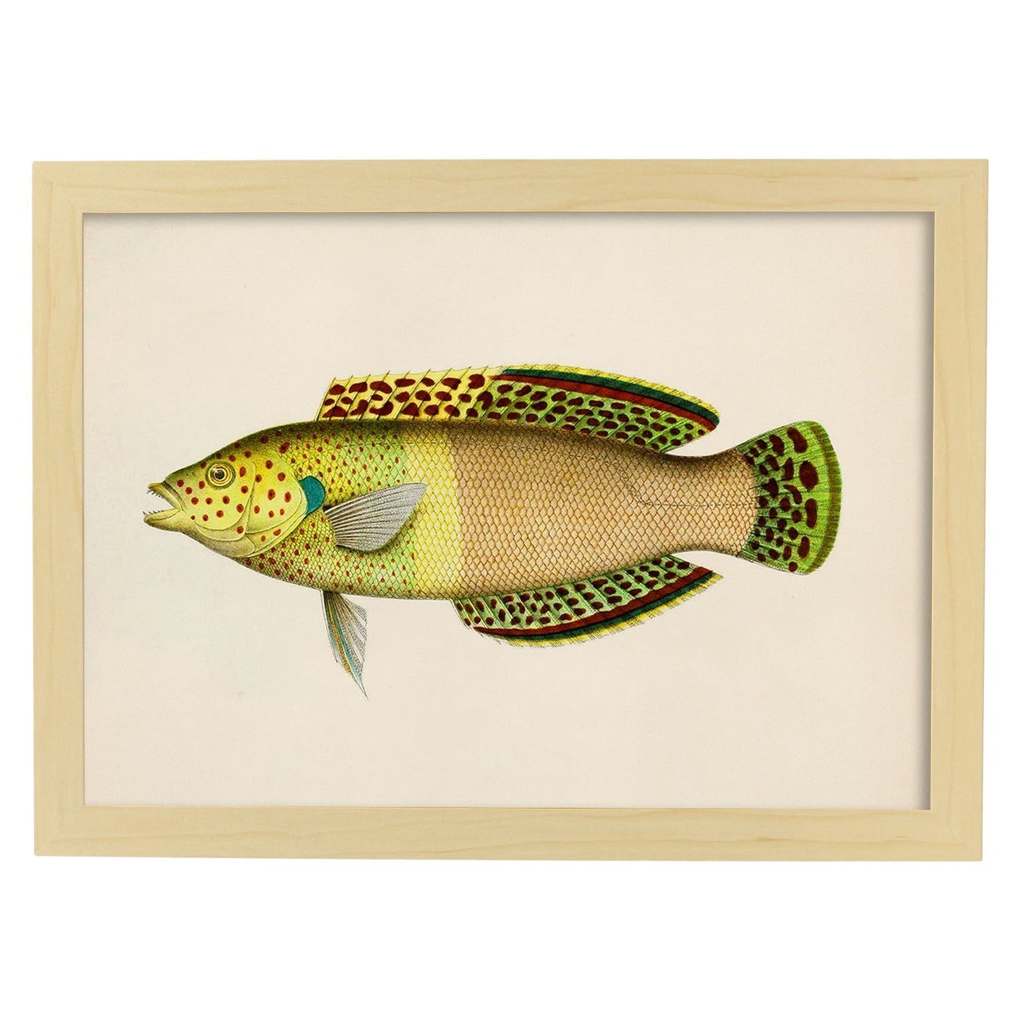 Lámina de pez amarillo, verde y beige en , fondo papel vintage.-Artwork-Nacnic-A3-Marco Madera clara-Nacnic Estudio SL