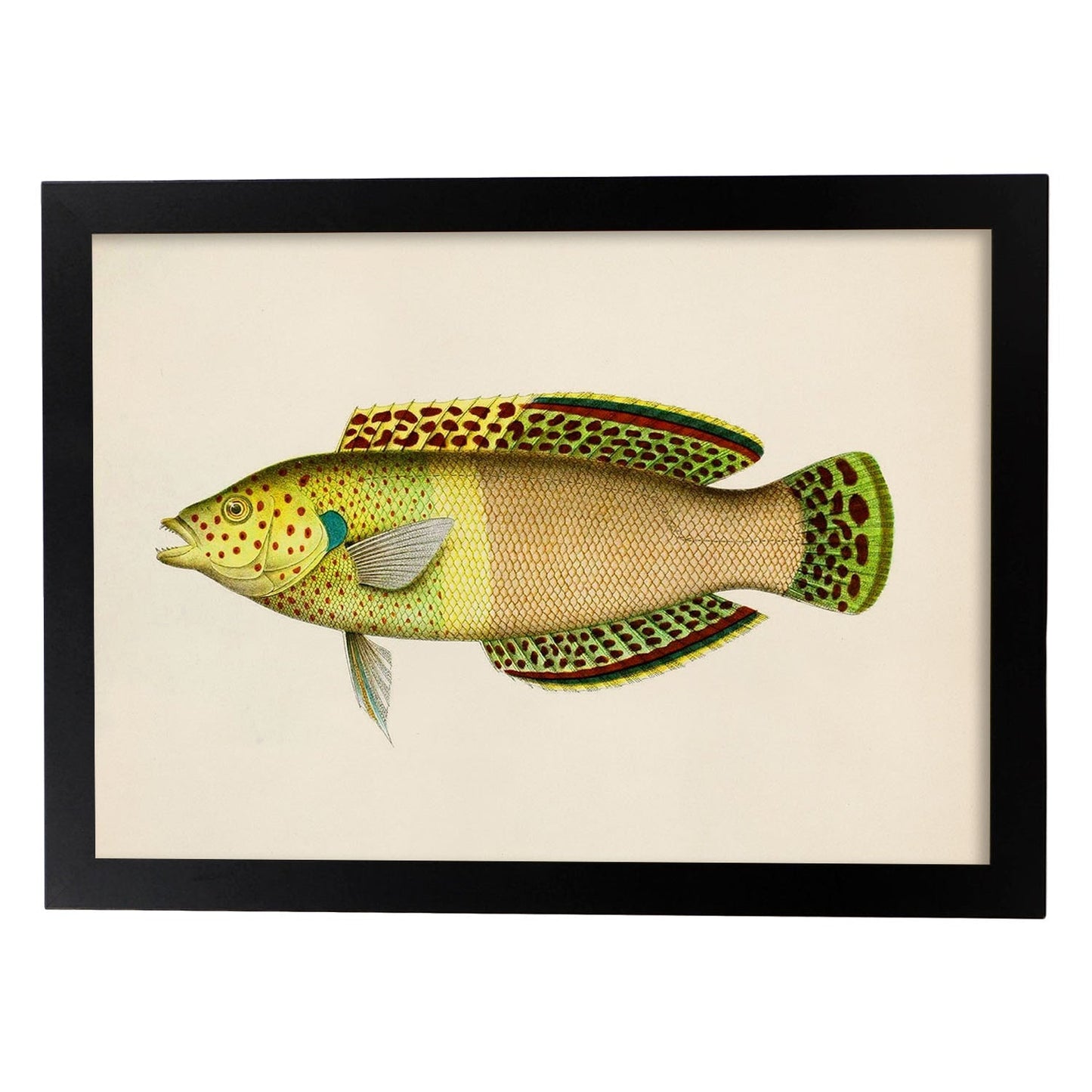 Lámina de pez amarillo, verde y beige en , fondo papel vintage.-Artwork-Nacnic-A3-Marco Negro-Nacnic Estudio SL
