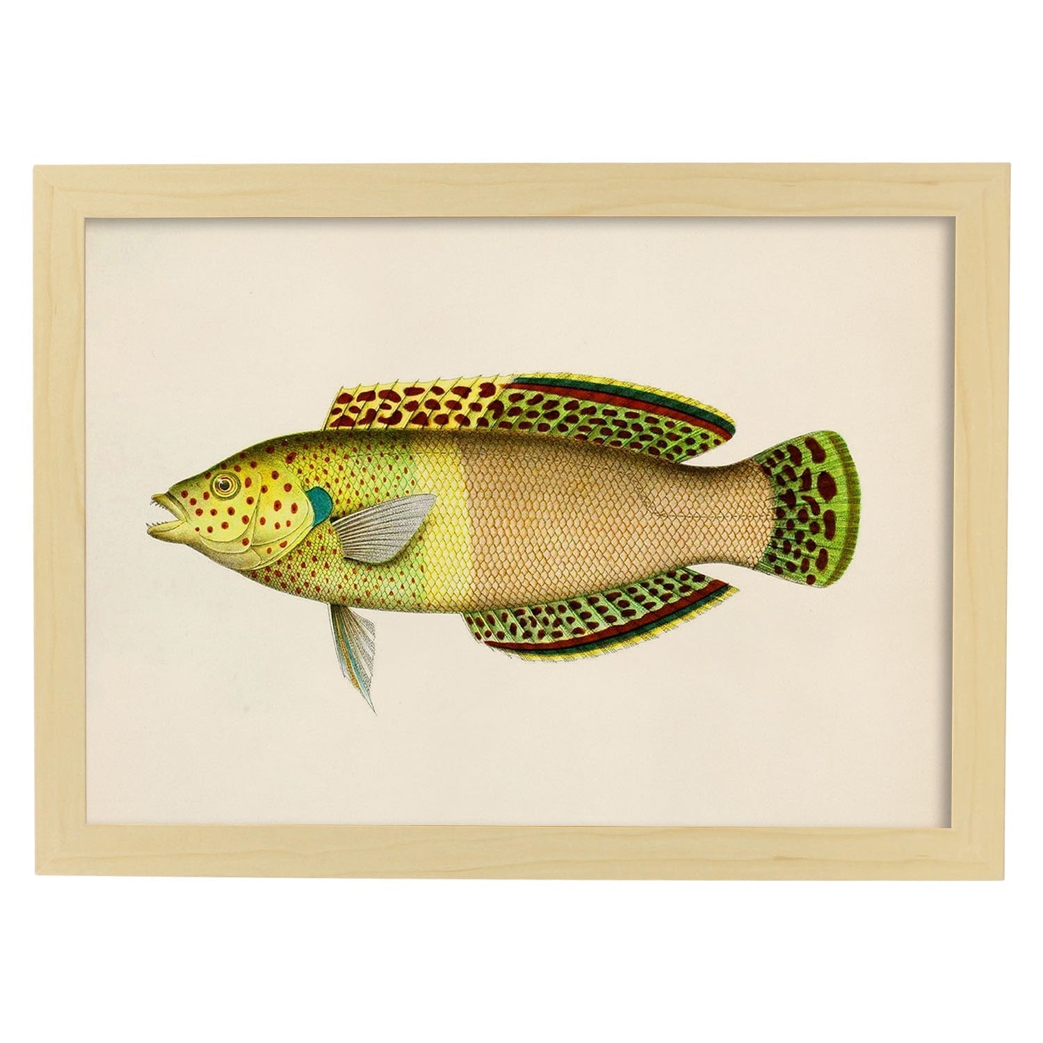 Lámina de pez amarillo, verde y beige en , fondo papel vintage.-Artwork-Nacnic-A4-Marco Madera clara-Nacnic Estudio SL