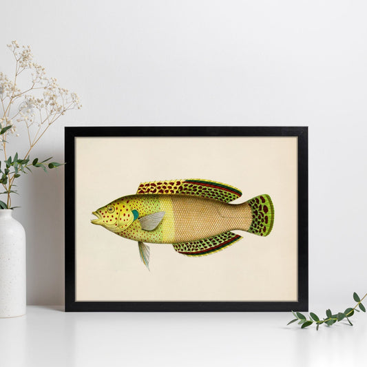 Lámina de pez amarillo, verde y beige en , fondo papel vintage.-Artwork-Nacnic-Nacnic Estudio SL