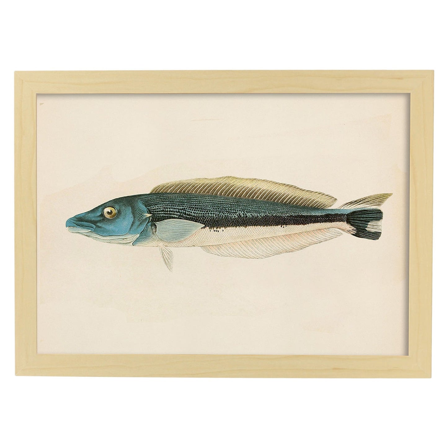 Lámina de pez azul gris y blanco en , fondo papel vintage.-Artwork-Nacnic-A4-Marco Madera clara-Nacnic Estudio SL