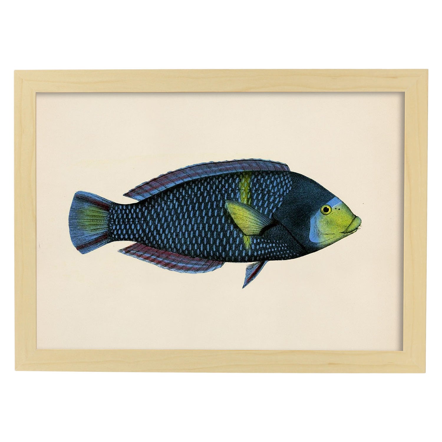 Lámina de pez azul y verde en , fondo papel vintage.-Artwork-Nacnic-A3-Marco Madera clara-Nacnic Estudio SL