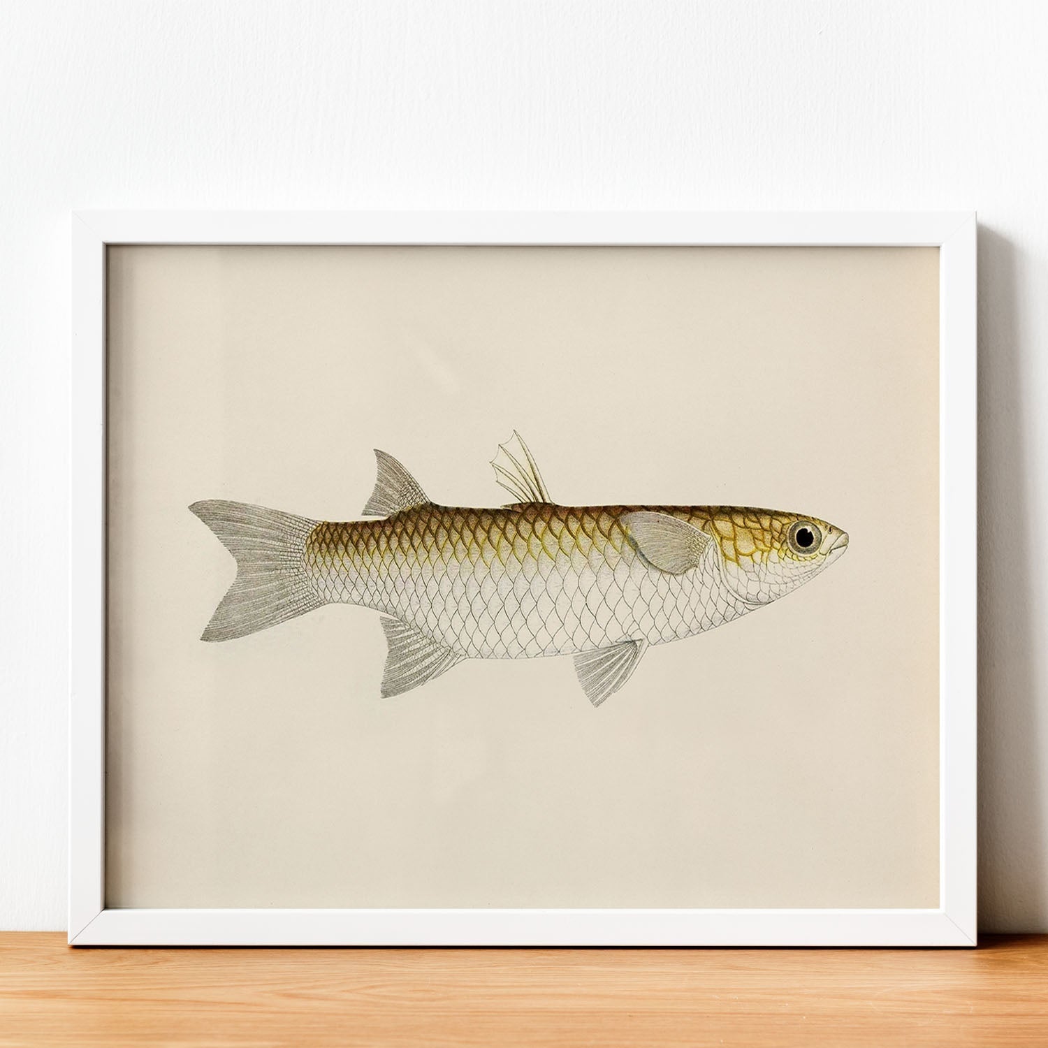 Lámina de pez blanco amarillo y gris en , fondo papel vintage.-Artwork-Nacnic-Nacnic Estudio SL