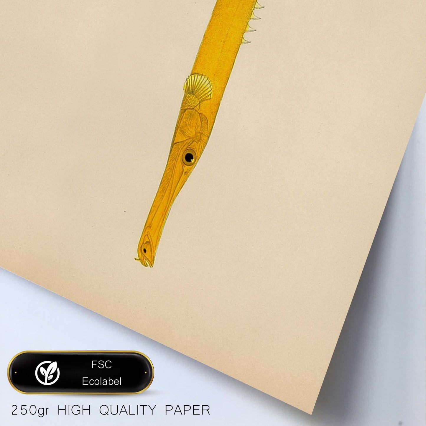Lámina de pez lago amarillo en , fondo papel vintage.-Artwork-Nacnic-Nacnic Estudio SL