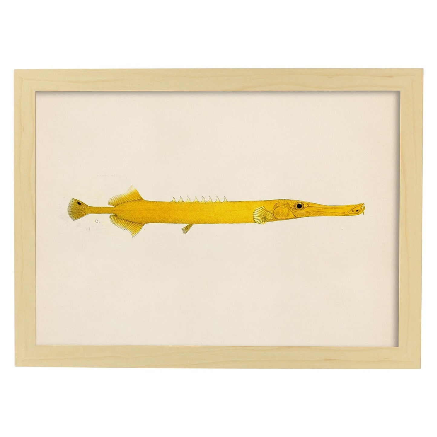 Lámina de pez lago amarillo en , fondo papel vintage.-Artwork-Nacnic-A3-Marco Madera clara-Nacnic Estudio SL