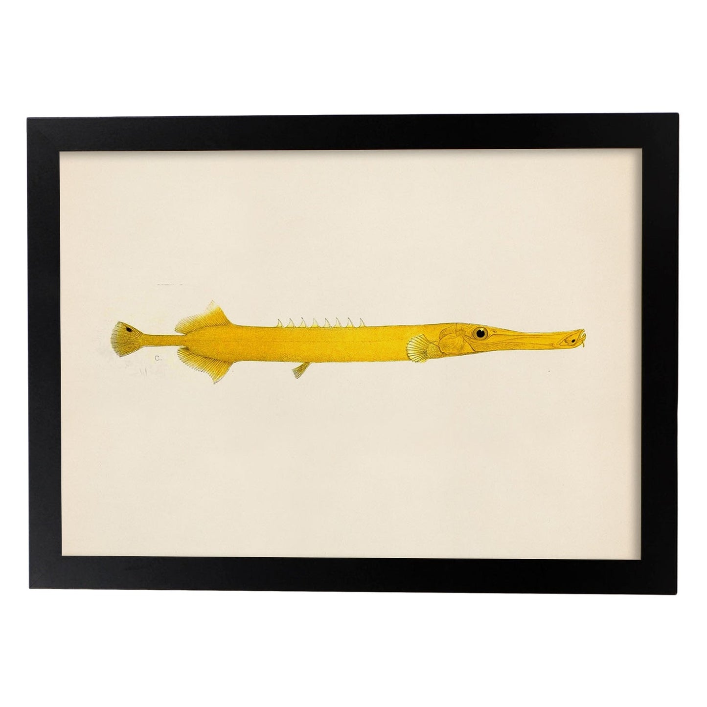 Lámina de pez lago amarillo en , fondo papel vintage.-Artwork-Nacnic-A3-Marco Negro-Nacnic Estudio SL