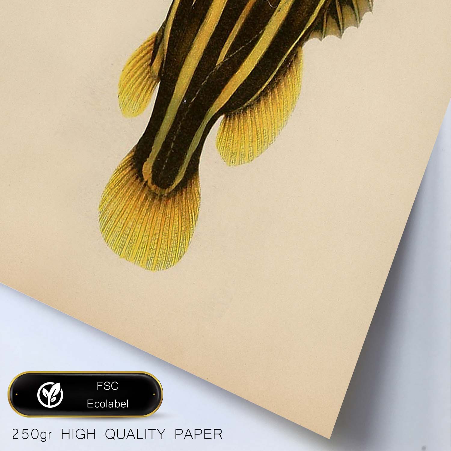 Lámina de pez lineas amarillas y marrones en , fondo papel vintage.-Artwork-Nacnic-Nacnic Estudio SL