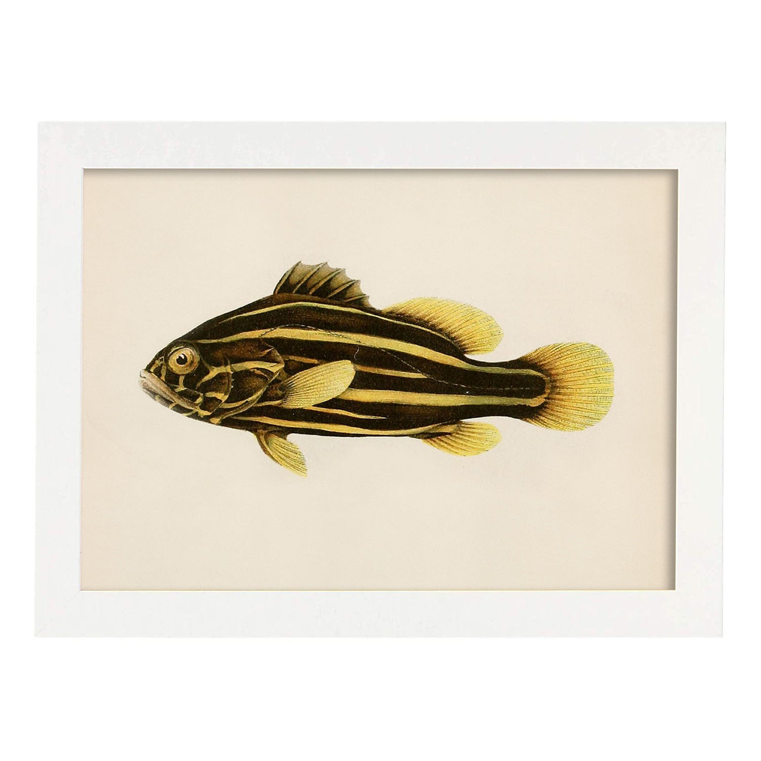 Lámina de pez lineas amarillas y marrones en , fondo papel vintage.-Artwork-Nacnic-A3-Marco Blanco-Nacnic Estudio SL
