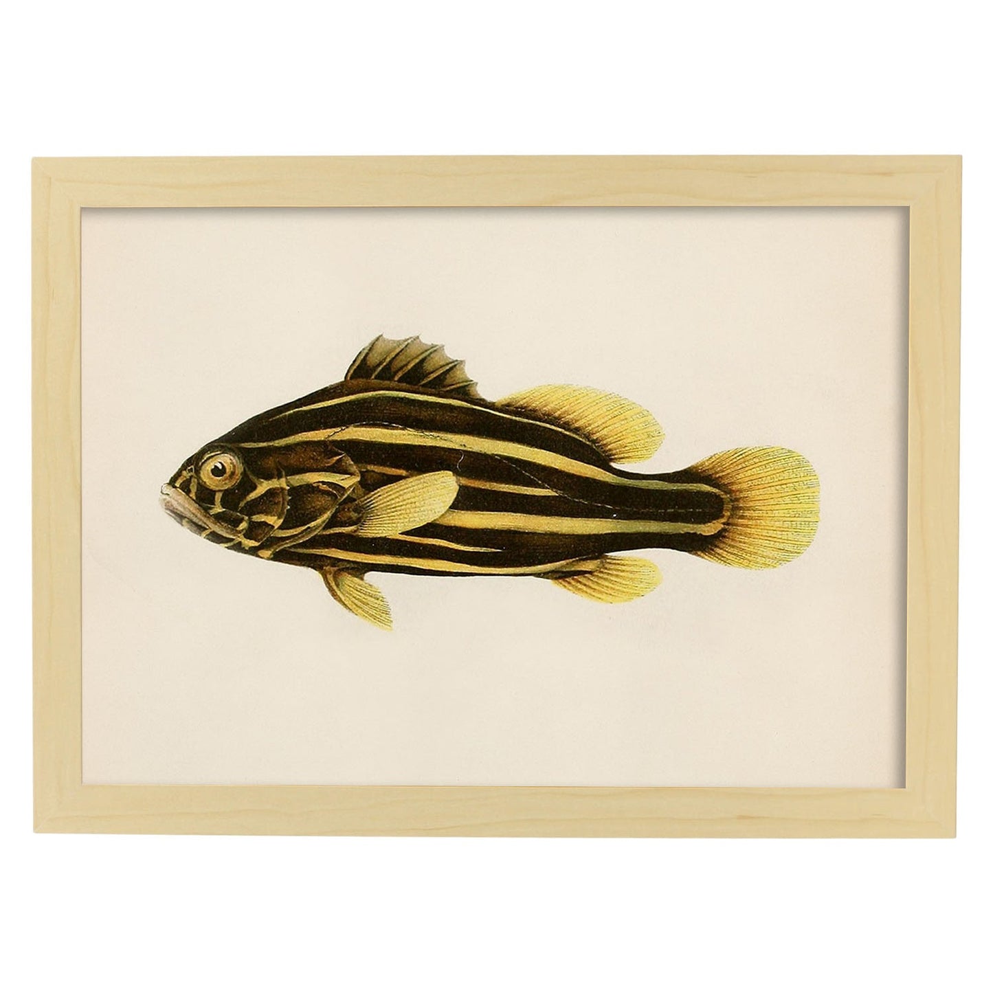 Lámina de pez lineas amarillas y marrones en , fondo papel vintage.-Artwork-Nacnic-A4-Marco Madera clara-Nacnic Estudio SL