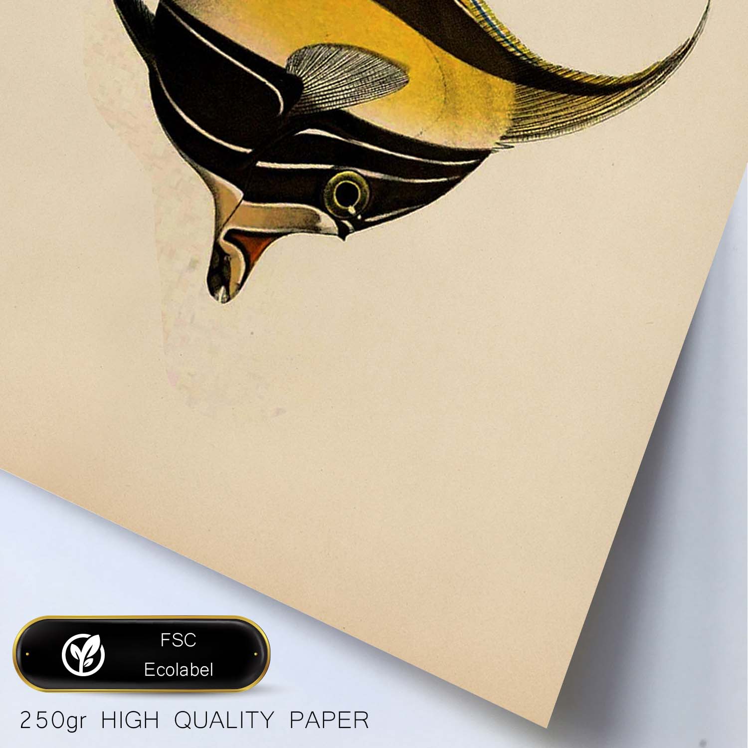 Lámina de pez lineas amarillas y negras en , fondo papel vintage.-Artwork-Nacnic-Nacnic Estudio SL