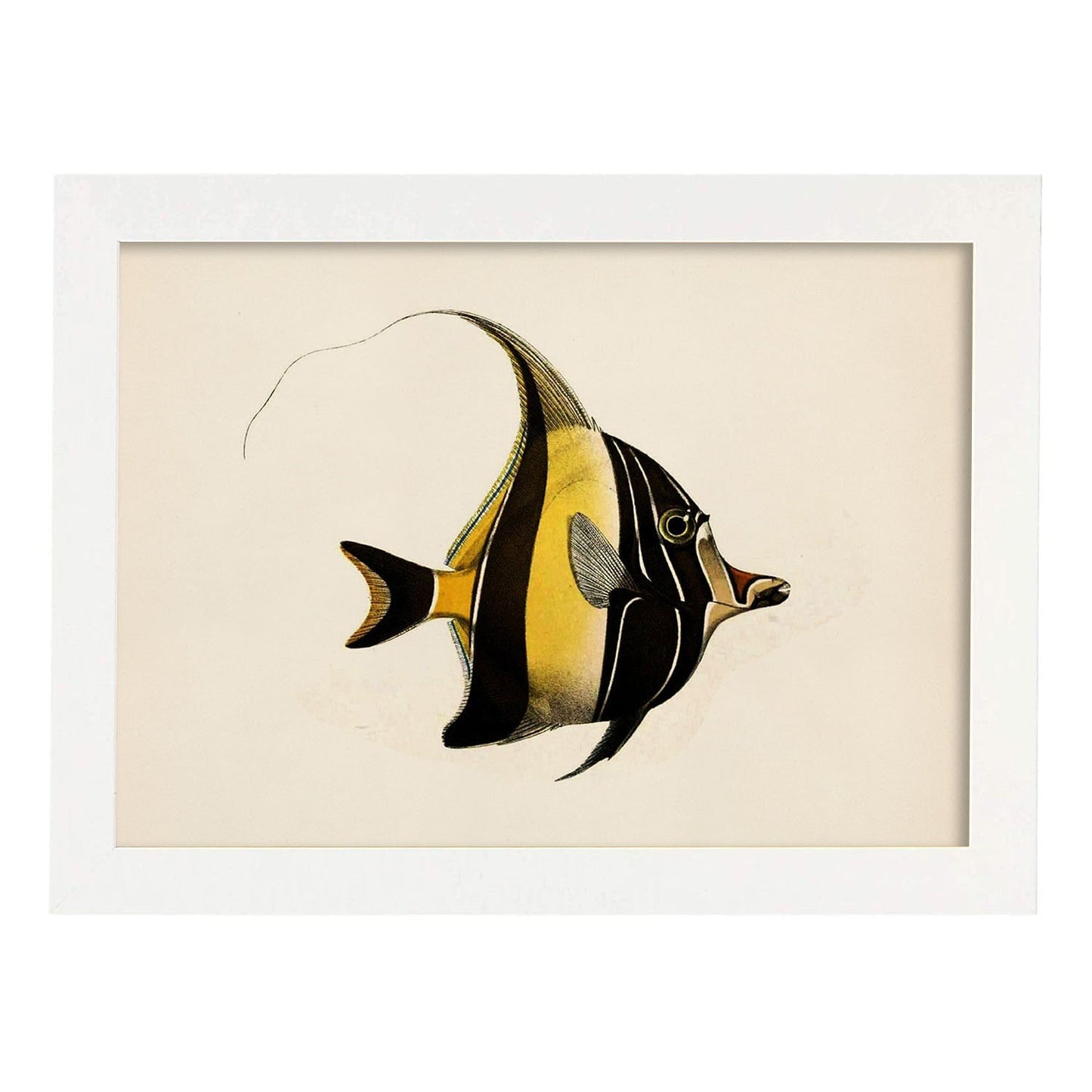 Lámina de pez lineas amarillas y negras en , fondo papel vintage.-Artwork-Nacnic-A3-Marco Blanco-Nacnic Estudio SL