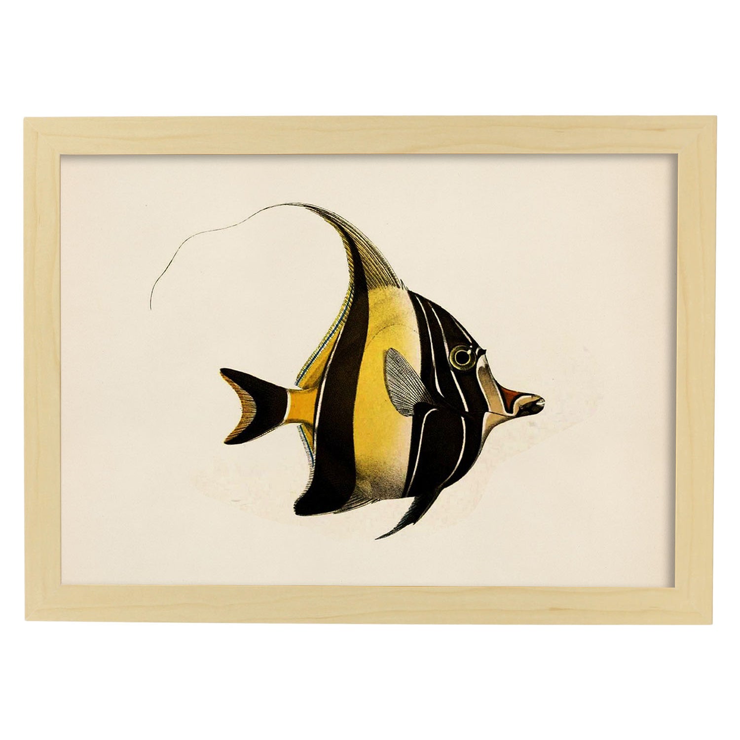 Lámina de pez lineas amarillas y negras en , fondo papel vintage.-Artwork-Nacnic-A3-Marco Madera clara-Nacnic Estudio SL