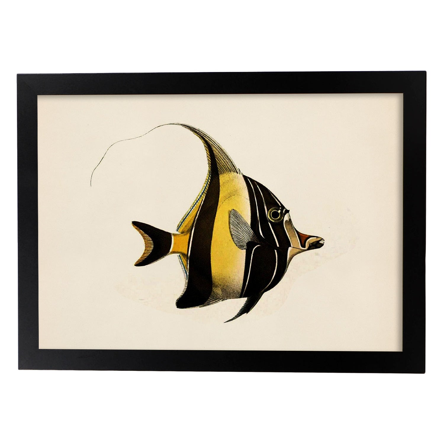 Lámina de pez lineas amarillas y negras en , fondo papel vintage.-Artwork-Nacnic-A3-Marco Negro-Nacnic Estudio SL