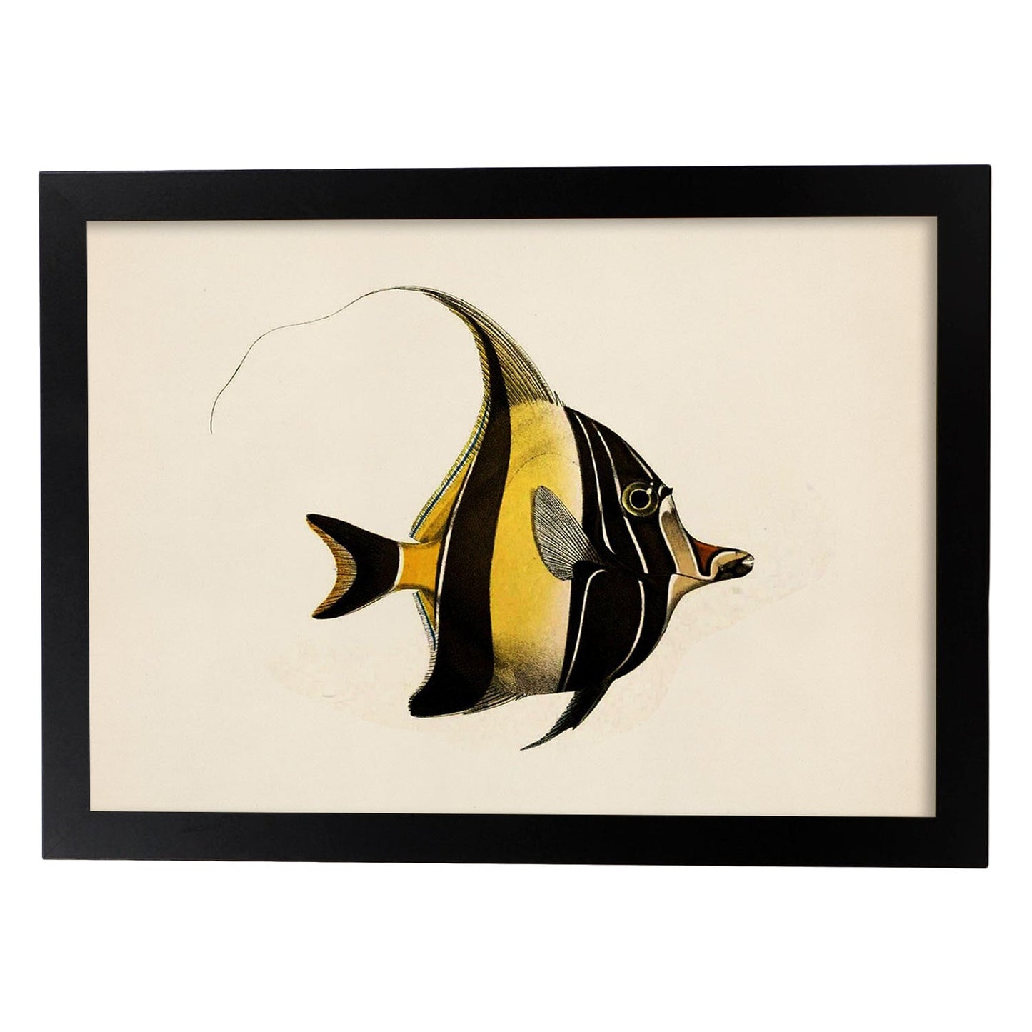 Lámina de pez lineas amarillas y negras en , fondo papel vintage.-Artwork-Nacnic-A4-Marco Negro-Nacnic Estudio SL