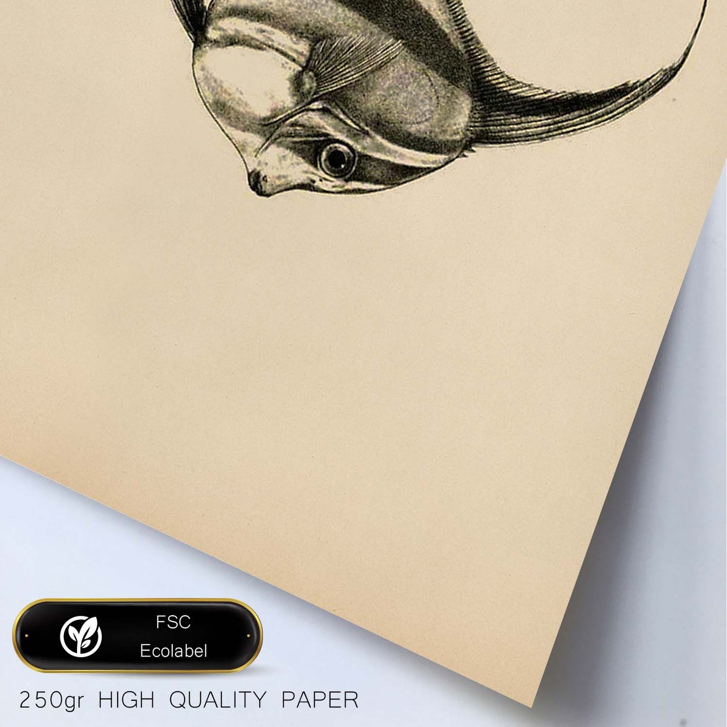 Lámina de pez lineas negro blanco y gris en , fondo papel vintage.-Artwork-Nacnic-Nacnic Estudio SL