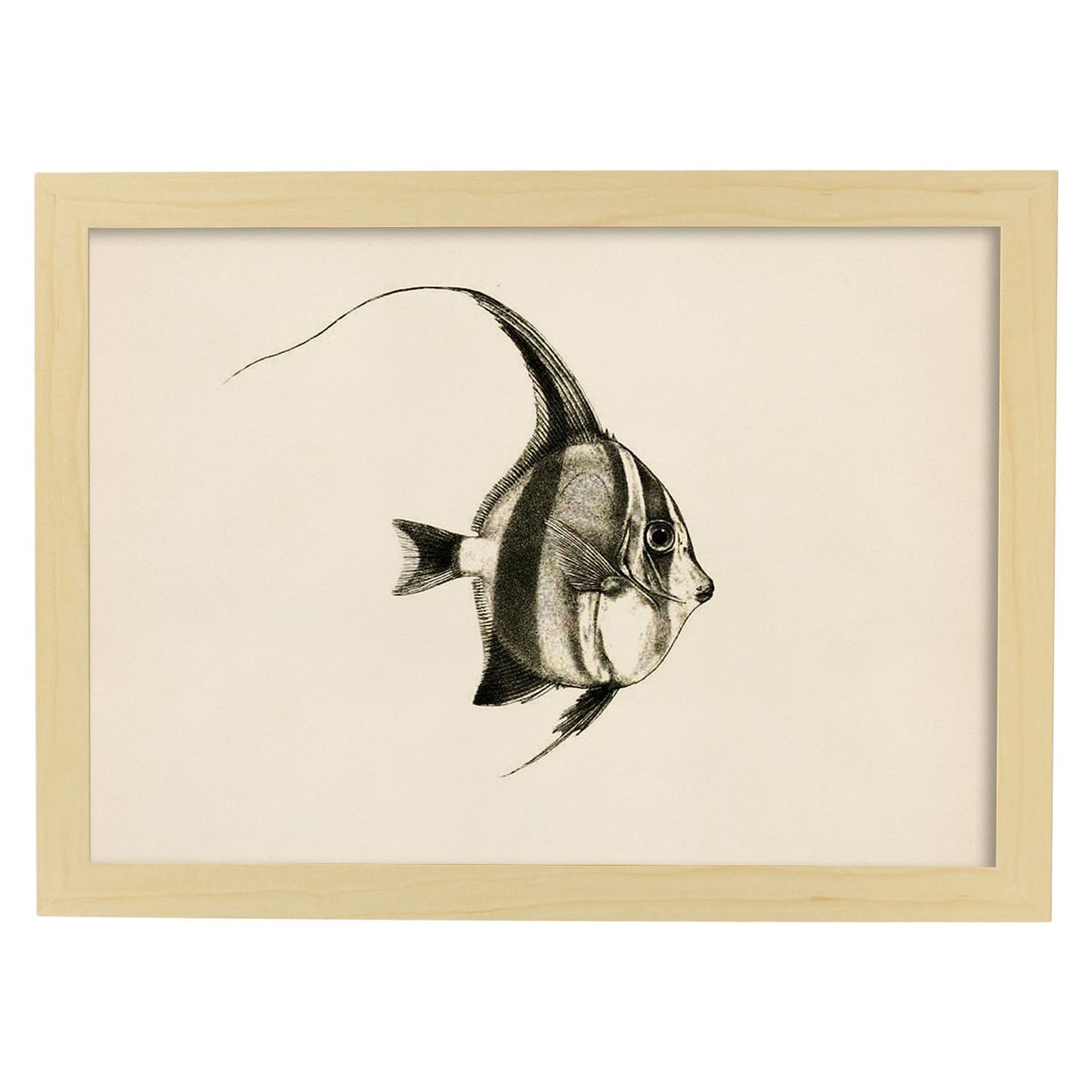 Lámina de pez lineas negro blanco y gris en , fondo papel vintage.-Artwork-Nacnic-A3-Marco Madera clara-Nacnic Estudio SL