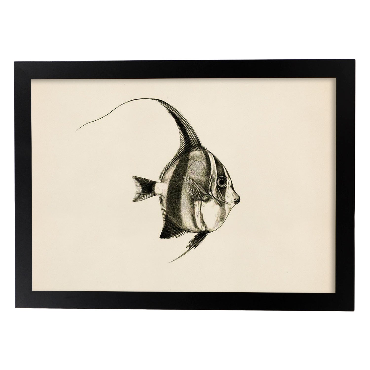 Lámina de pez lineas negro blanco y gris en , fondo papel vintage.-Artwork-Nacnic-A3-Marco Negro-Nacnic Estudio SL