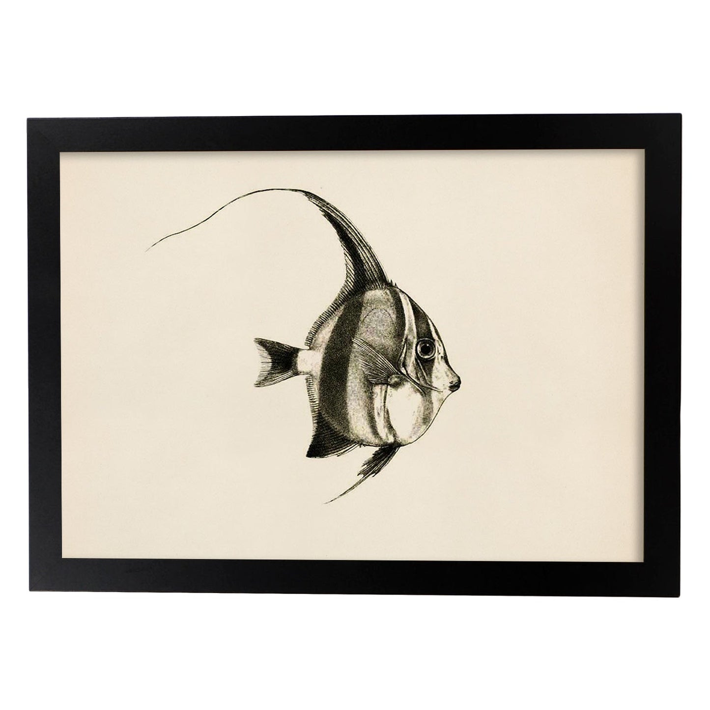 Lámina de pez lineas negro blanco y gris en , fondo papel vintage.-Artwork-Nacnic-A4-Marco Negro-Nacnic Estudio SL
