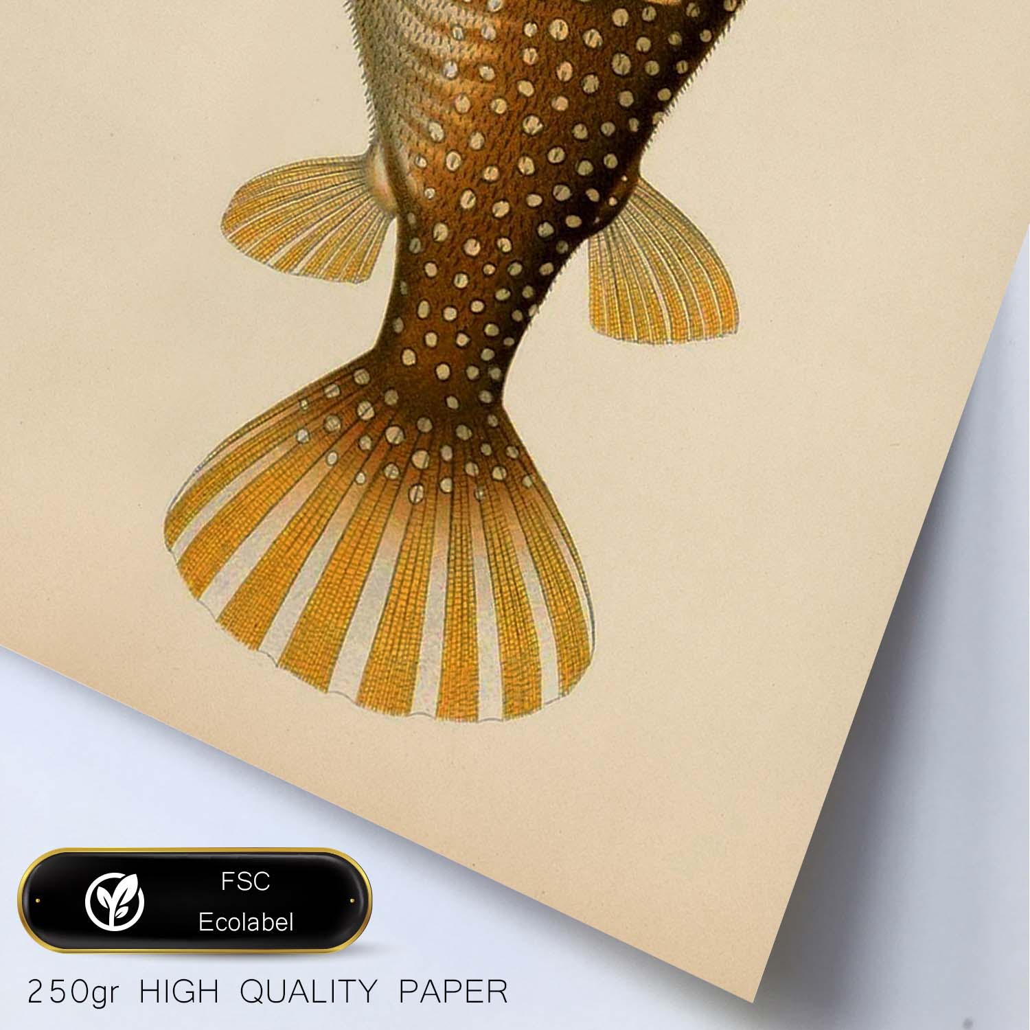 Lámina de pez marron, amarillo en , fondo papel vintage.-Artwork-Nacnic-Nacnic Estudio SL
