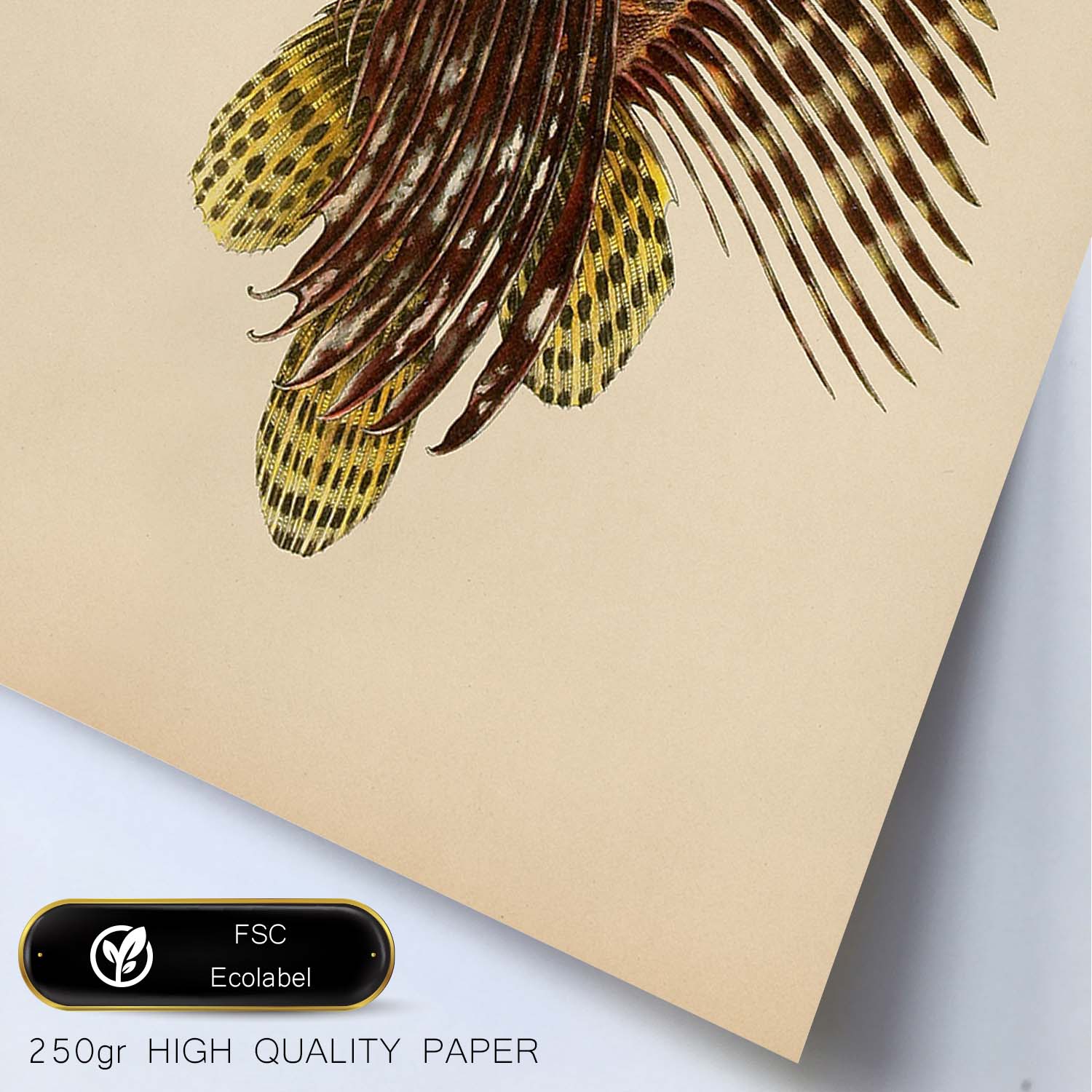 Lámina de pez marron amarillo en , fondo papel vintage.-Artwork-Nacnic-Nacnic Estudio SL