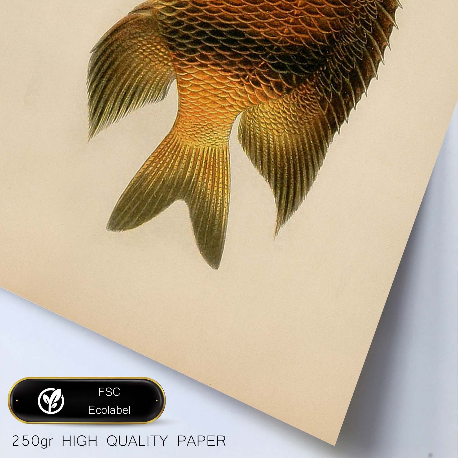 Lámina de pez marron amarillo y naranja en , fondo papel vintage.-Artwork-Nacnic-Nacnic Estudio SL