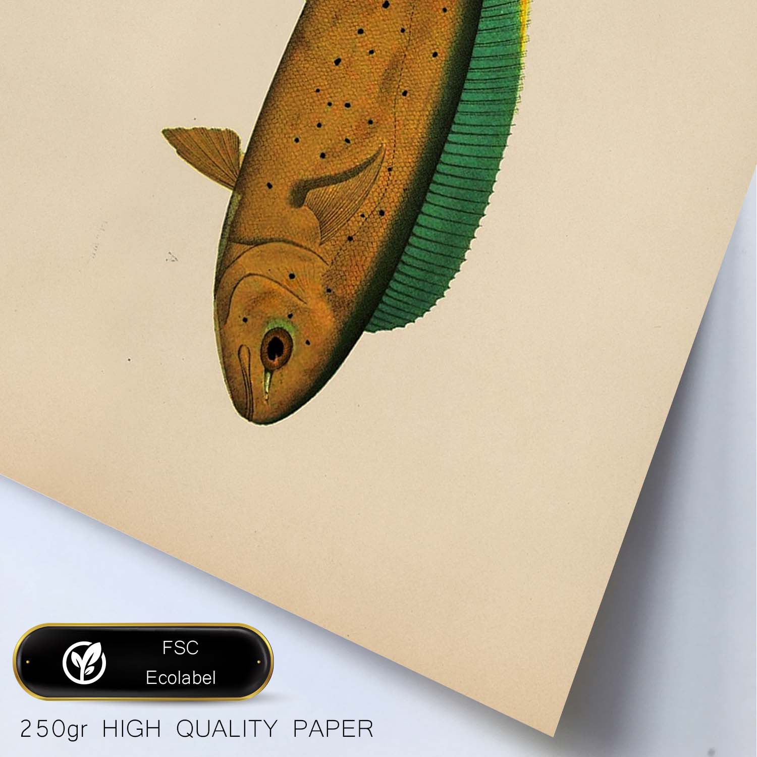Lámina de pez marron verde y amarillo en , fondo papel vintage.-Artwork-Nacnic-Nacnic Estudio SL