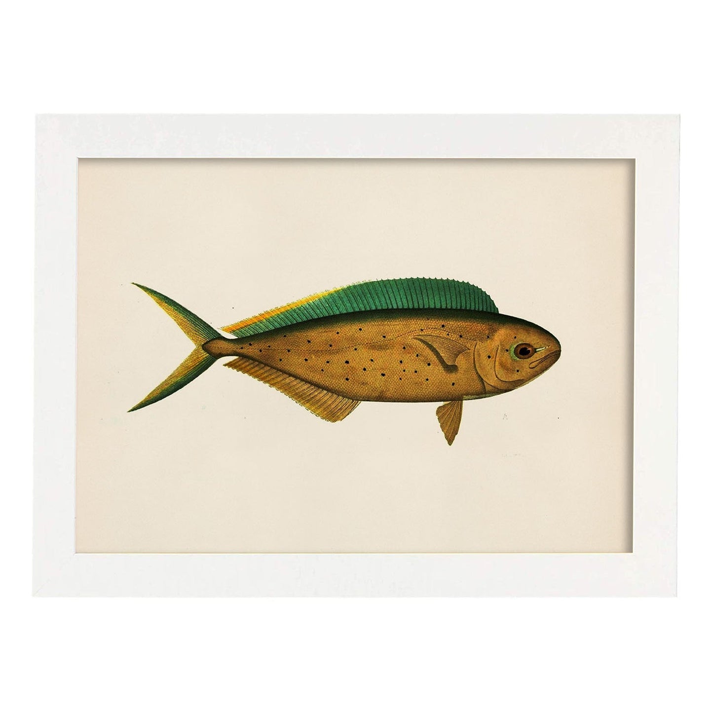 Lámina de pez marron verde y amarillo en , fondo papel vintage.-Artwork-Nacnic-A3-Marco Blanco-Nacnic Estudio SL