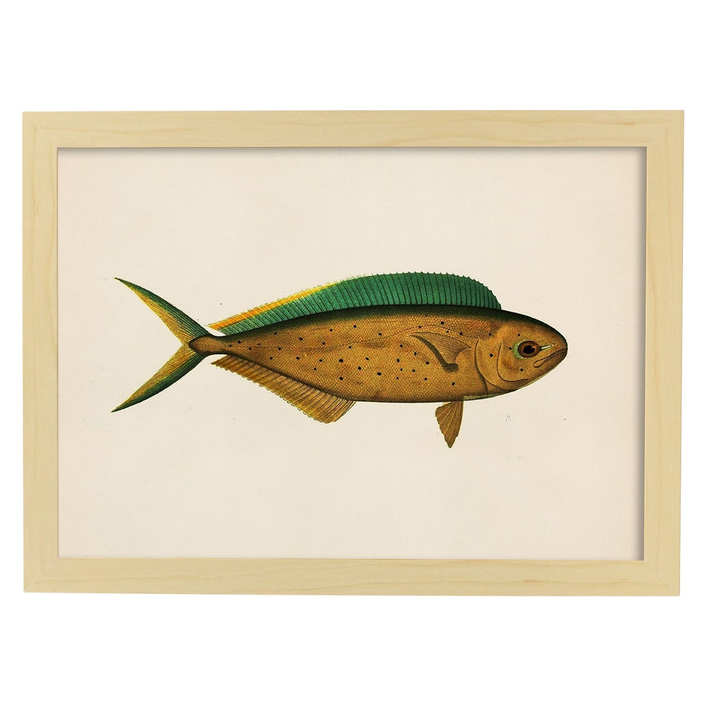 Lámina de pez marron verde y amarillo en , fondo papel vintage.-Artwork-Nacnic-A3-Marco Madera clara-Nacnic Estudio SL