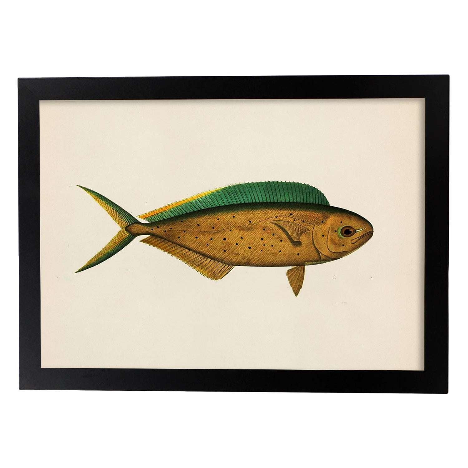 Lámina de pez marron verde y amarillo en , fondo papel vintage.-Artwork-Nacnic-A3-Marco Negro-Nacnic Estudio SL
