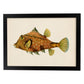 Lámina de Pez pincho naranja, verde y amarillo en , fondo papel vintage.-Artwork-Nacnic-A3-Marco Negro-Nacnic Estudio SL