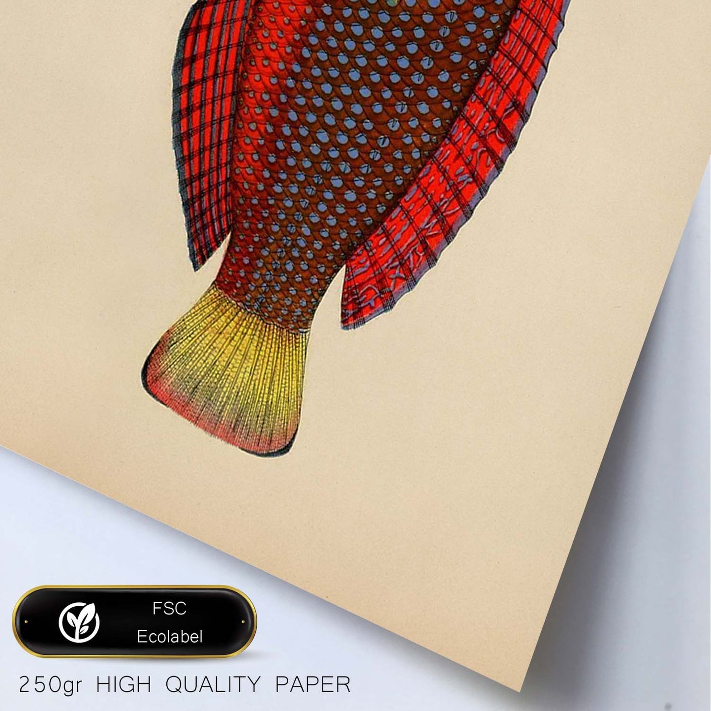Lámina de pez rojo, amarillo y marron en , fondo papel vintage.-Artwork-Nacnic-Nacnic Estudio SL