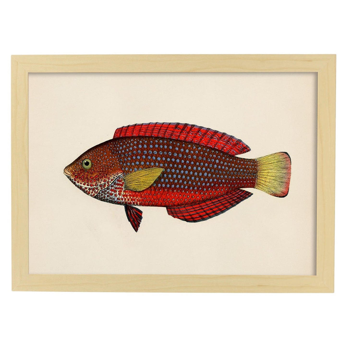 Lámina de pez rojo, amarillo y marron en , fondo papel vintage.-Artwork-Nacnic-A3-Marco Madera clara-Nacnic Estudio SL