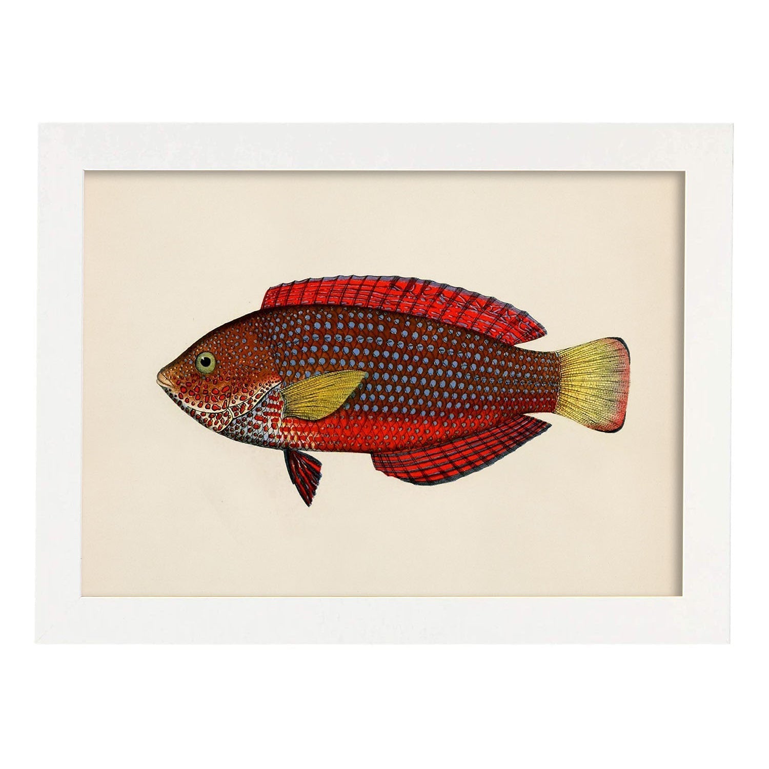 Lámina de pez rojo, amarillo y marron en , fondo papel vintage.-Artwork-Nacnic-A4-Marco Blanco-Nacnic Estudio SL