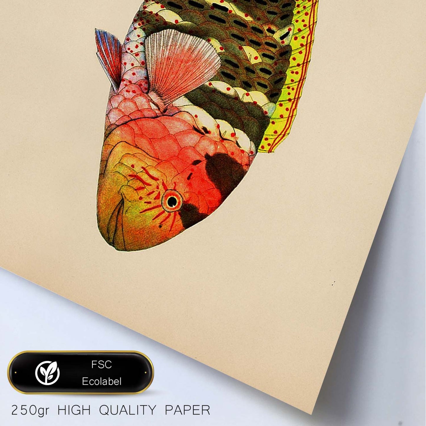 Lámina de pez rojo, marron amarillo y negro en , fondo papel vintage.-Artwork-Nacnic-Nacnic Estudio SL