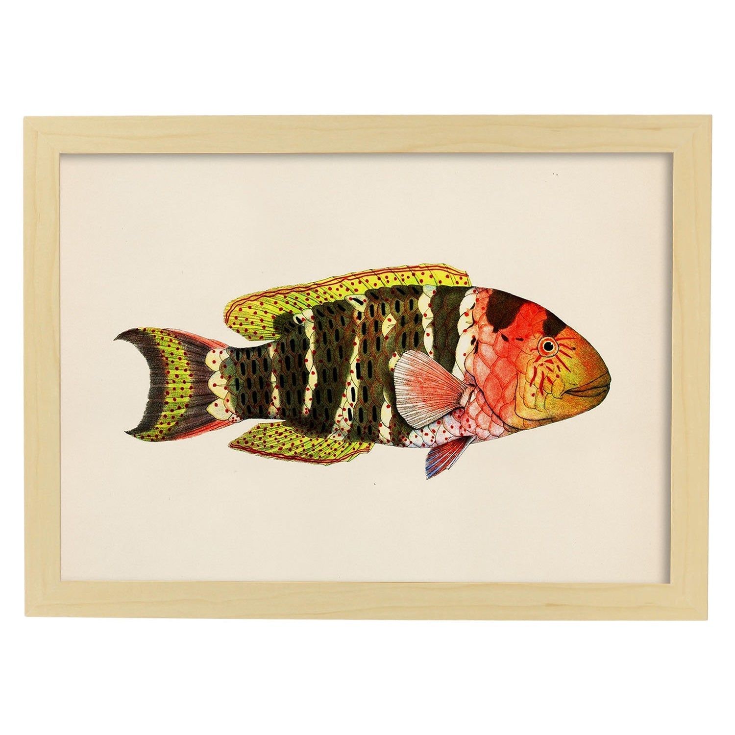 Lámina de pez rojo, marron amarillo y negro en , fondo papel vintage.-Artwork-Nacnic-A4-Marco Madera clara-Nacnic Estudio SL