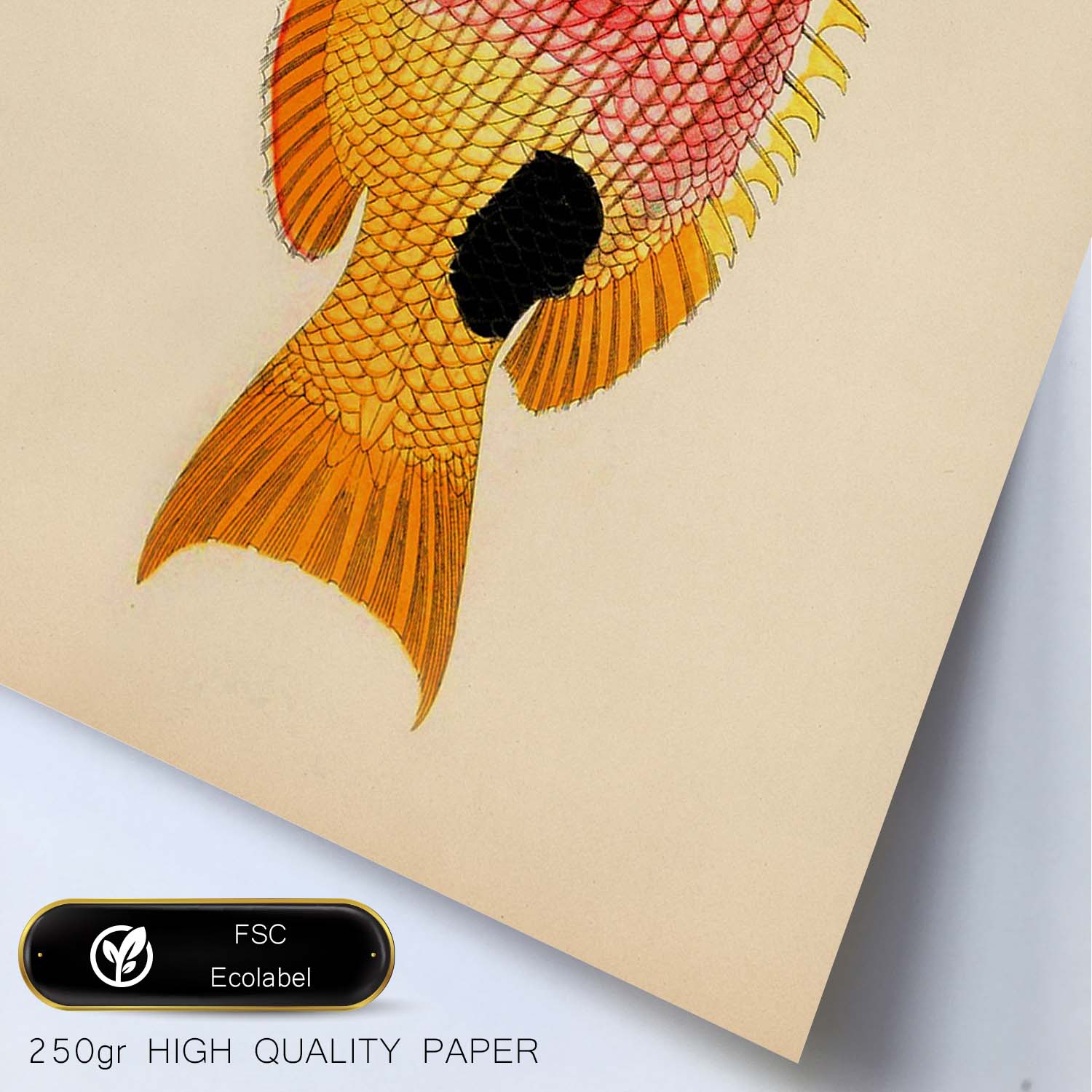 Lámina de pez rosa, rosa amarillo y negro en , fondo papel vintage.-Artwork-Nacnic-Nacnic Estudio SL