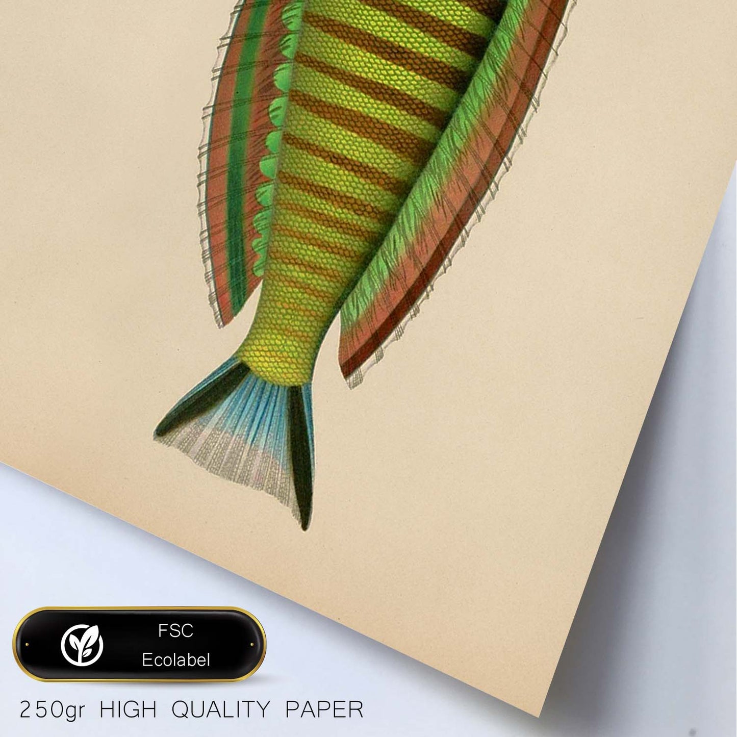 Lámina de pez verde amarillo azul y marron en , fondo papel vintage.-Artwork-Nacnic-Nacnic Estudio SL