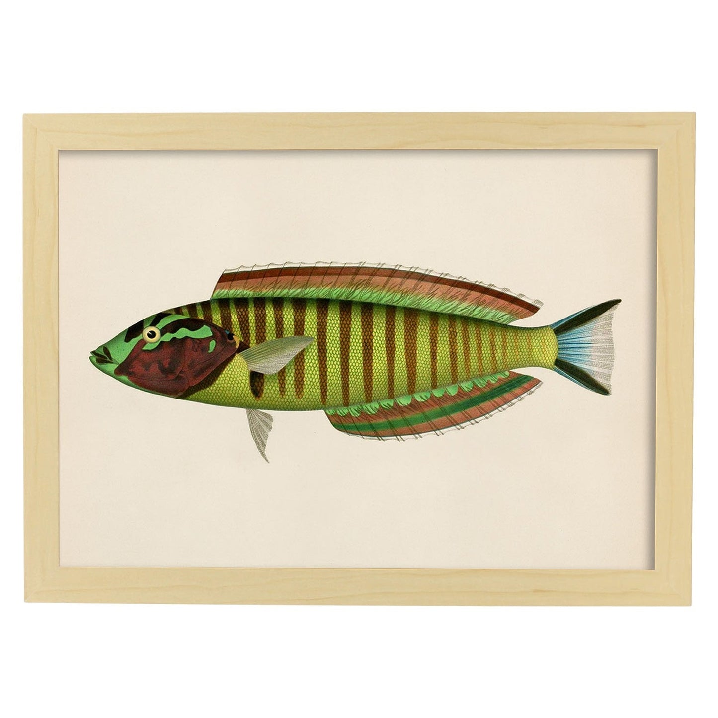 Lámina de pez verde amarillo azul y marron en , fondo papel vintage.-Artwork-Nacnic-A4-Marco Madera clara-Nacnic Estudio SL