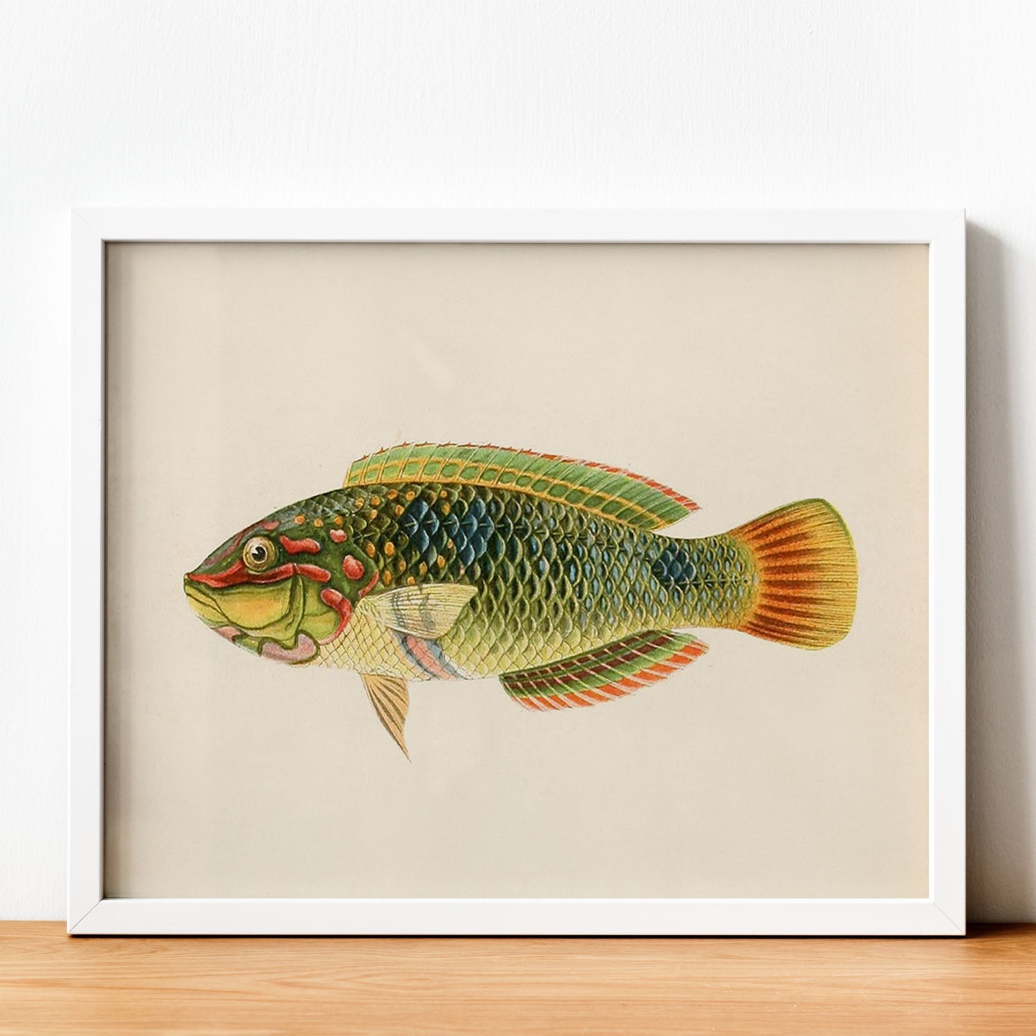 Lámina de pez verde, naranja, amarillo, azul en , fondo papel vintage.-Artwork-Nacnic-Nacnic Estudio SL